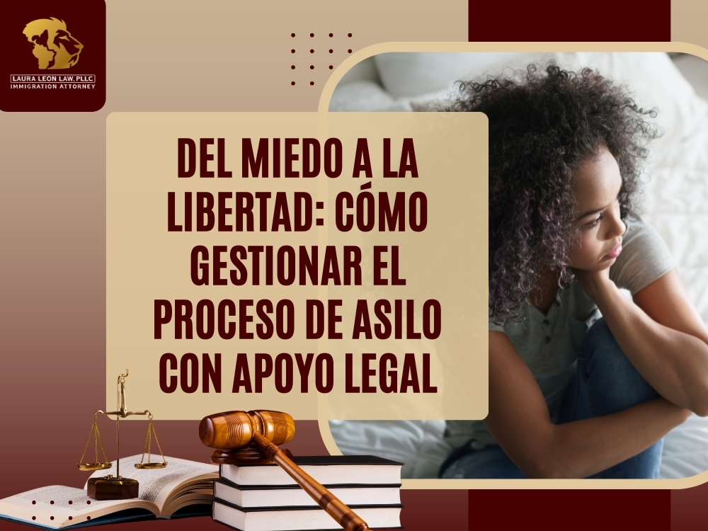 Asilo - Laura Leon Law