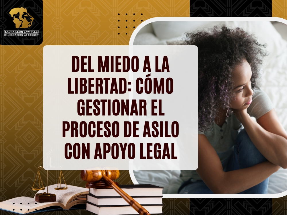 Asilo - Laura Leon Law