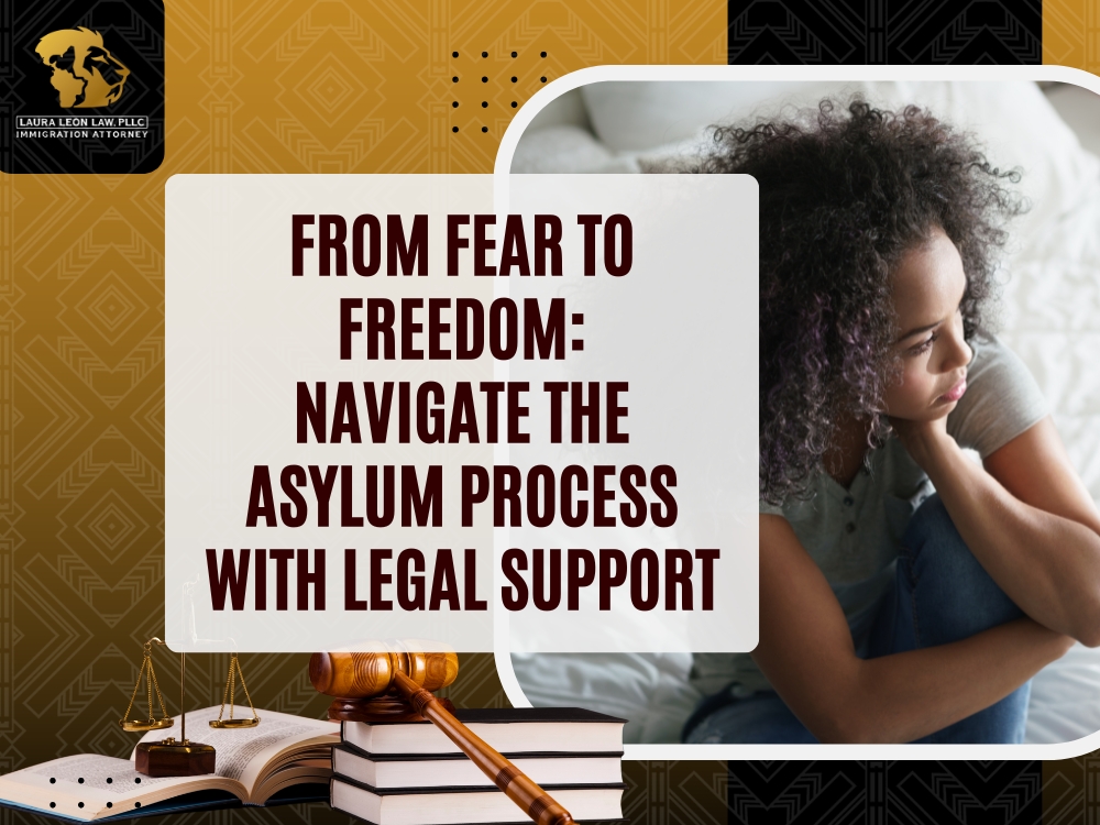 Asylum - Laura Leon Law