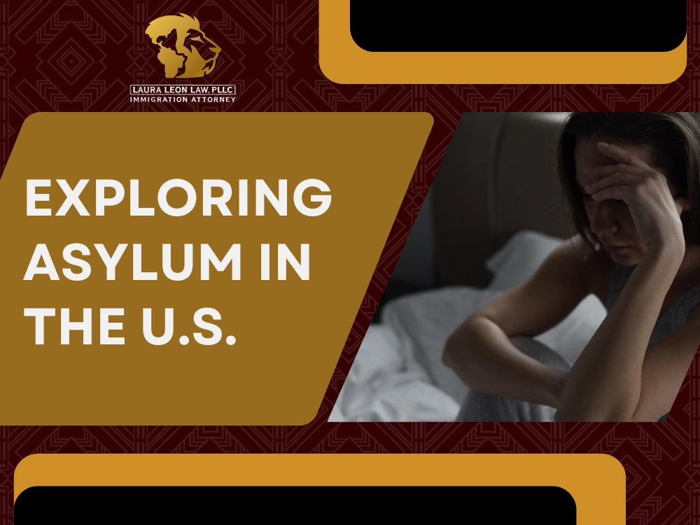 Asylum Lawyer Factors - Laura Leon Law