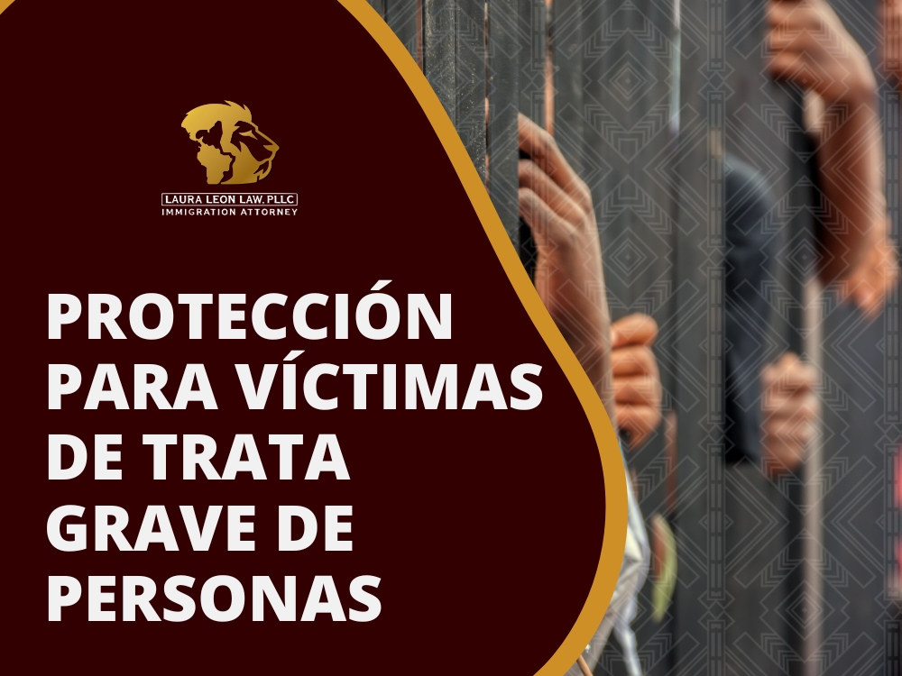 Visa T Protección - Laura Leon Law