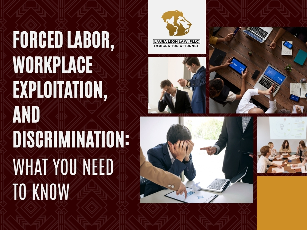 Illegal Immigrant Rights - What You Need to Know - Laura Leon Law