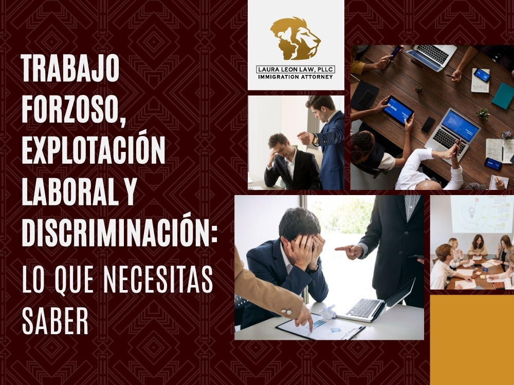 Inmigrantes Indocumentados - Lo que necesitas saber - Laura Leon Law