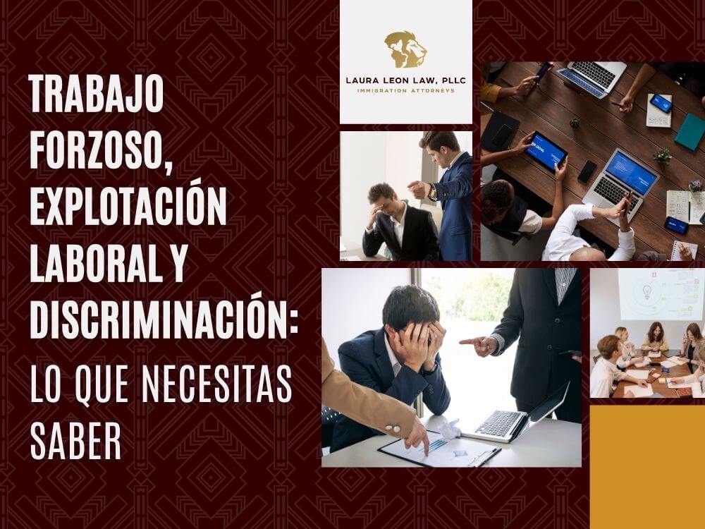 Inmigrantes Indocumentados - Lo que necesitas saber - Laura Leon Law